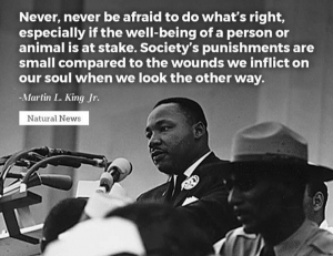 "Never, never be afraid to do what's right, especially if the well-being of a person or animal is at stake. Society's punishments are small compared to the wounds we inflict on our soul when we look the other way." --Martin L. King, Jr.