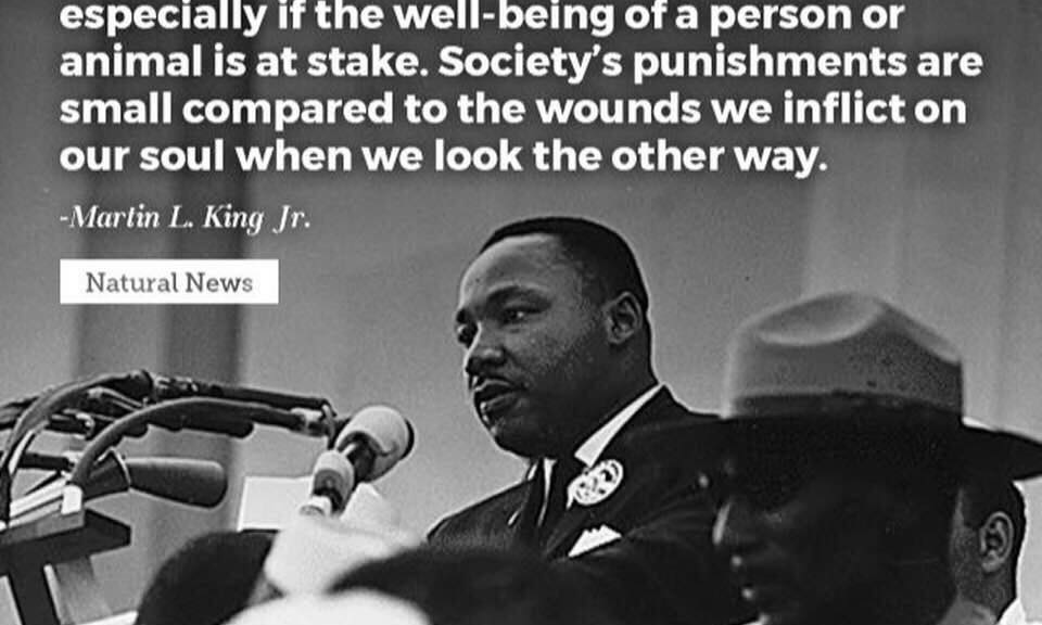 "Never, never be afraid to do what's right, especially if the well-being of a person or animal is at stake. Society's punishments are small compared to the wounds we inflict on our soul when we look the other way." --Martin L. King, Jr.