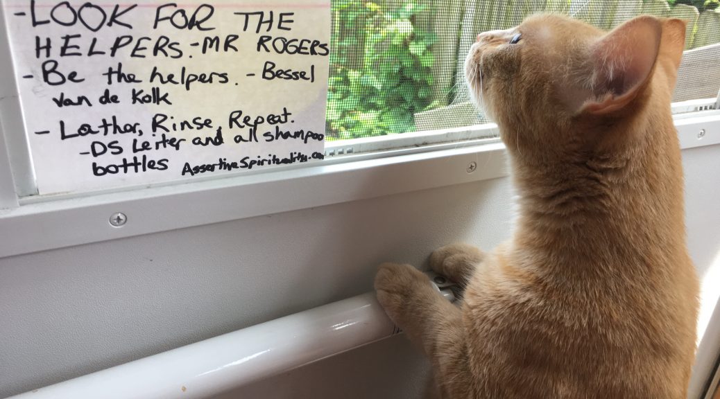 [Cat looks out screen door, sniffing next to card:] "Look for the helpers." --Mr. Rogers "Be the helpers." --Bessel Van der Kolk "Lather, Rinse, Repeat." --DS Leiter and All Shampoo Bottles (AssertiveSpirituality.com)