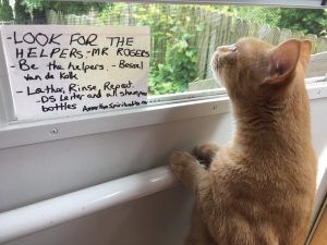 [Cat looks out screen door, sniffing next to card:] "Look for the helpers." --Mr. Rogers "Be the helpers." --Bessel Van der Kolk "Lather, Rinse, Repeat." --DS Leiter and All Shampoo Bottles (AssertiveSpirituality.com)