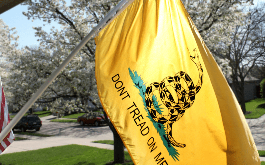 A picture of the Gadsden flag to introduce a piece talking about its unhealthy rhetoric